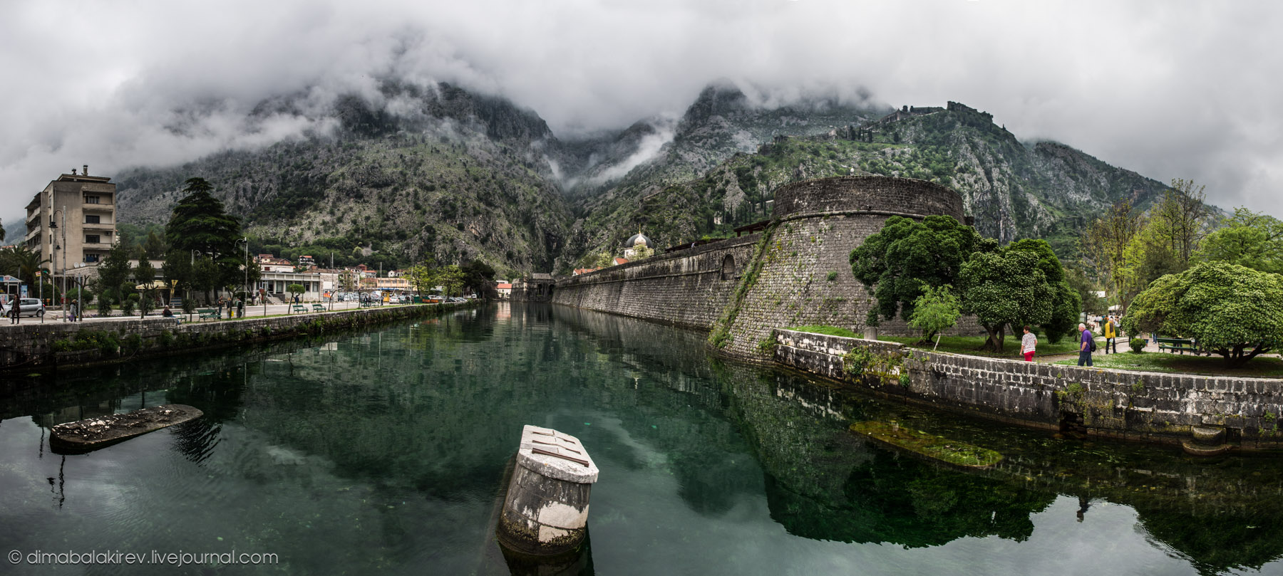 Kotor